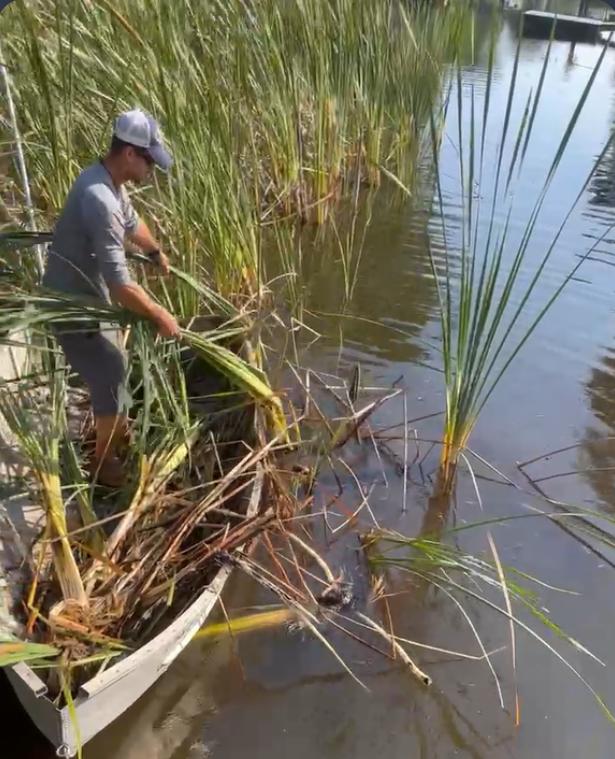 B&J Lake Weed Removal project in progress